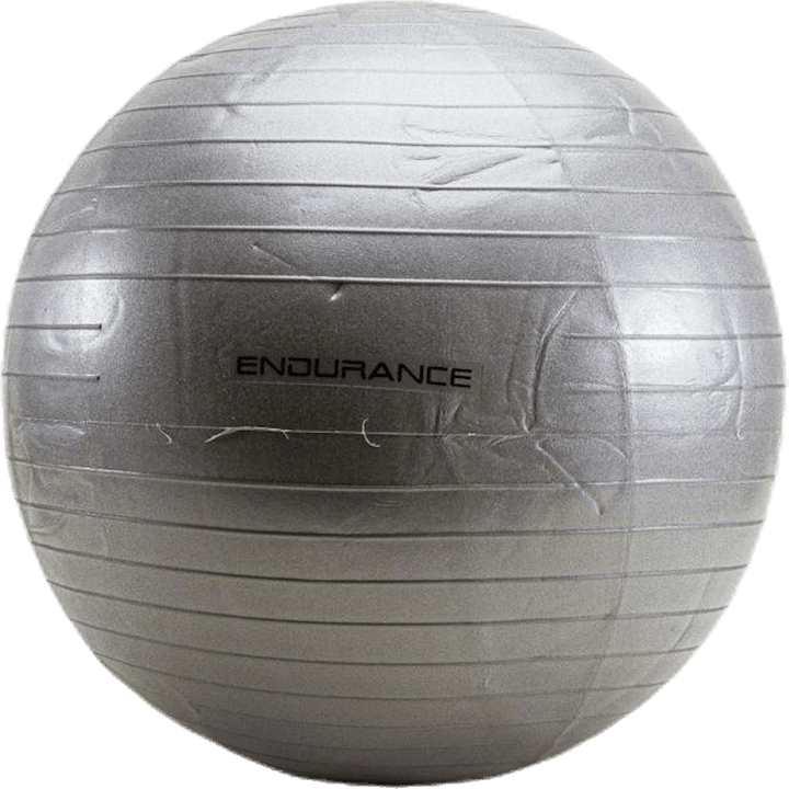 Gym ball 55 CM Silver
