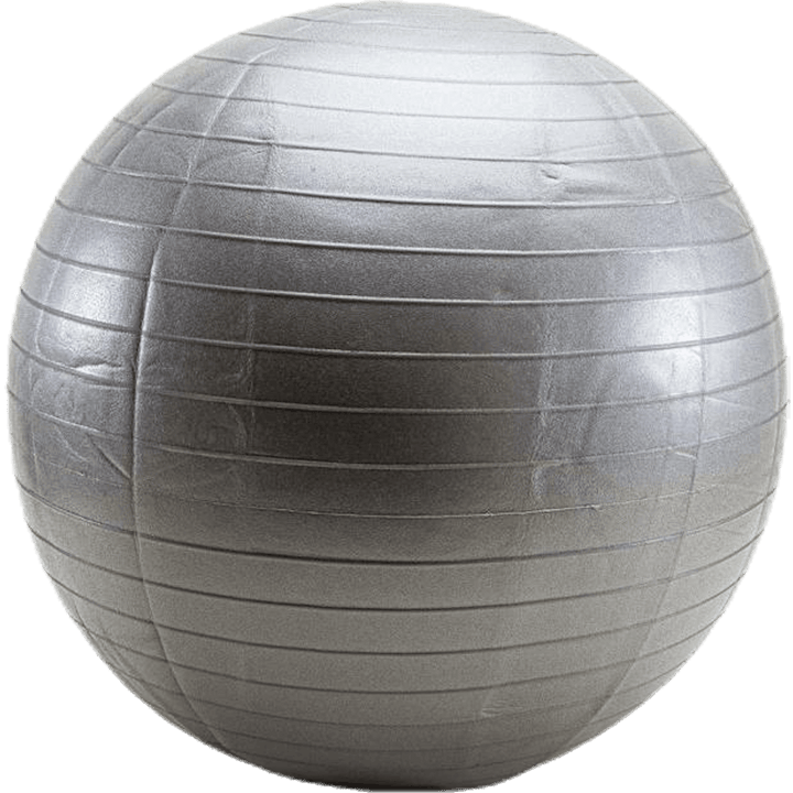 Gym ball 55 CM Silver