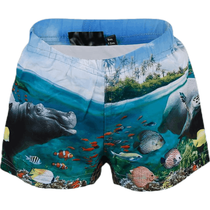 Pañal de natación Newton Azul