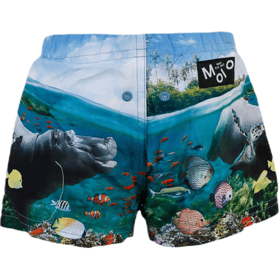 Pañal de natación Newton Azul