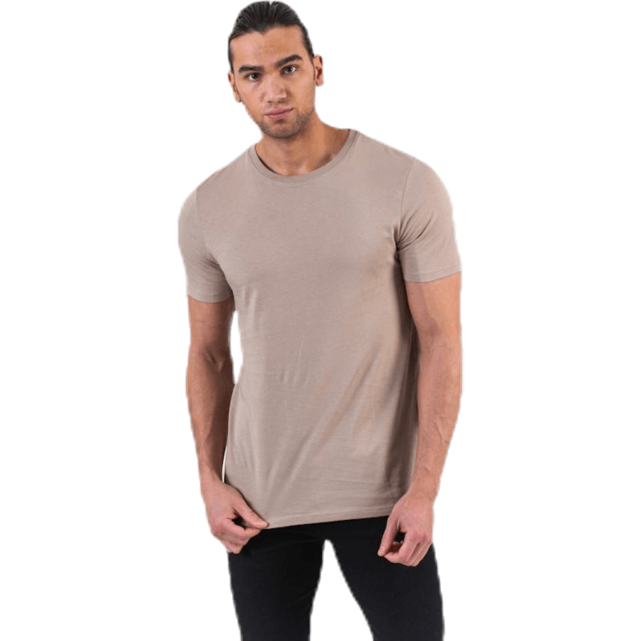 Organic Basic Tee Ss O-Neck Beige