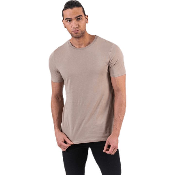 Organic Basic Tee Ss O-Neck Beige