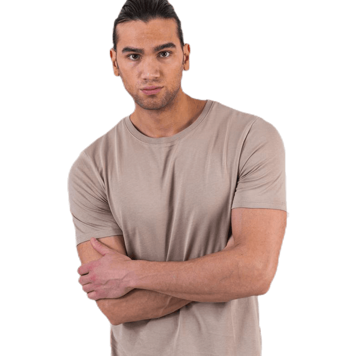 Organic Basic Tee Ss O-Neck Beige