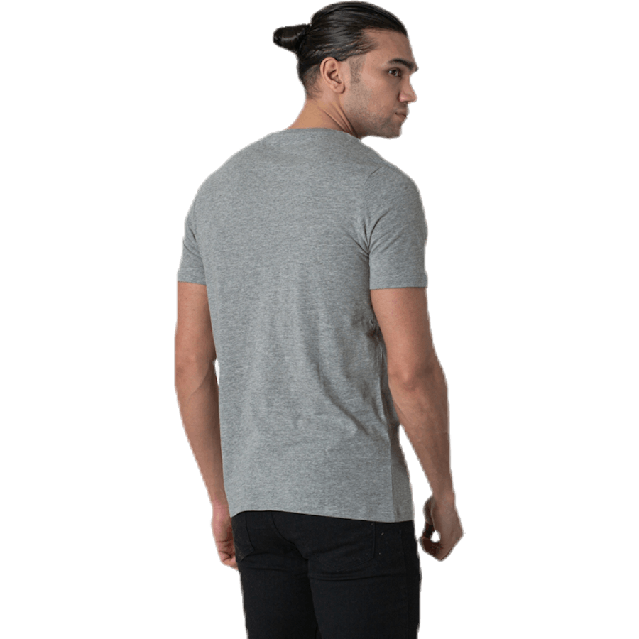 Denim Logo Tee Ss O-Neck Grå