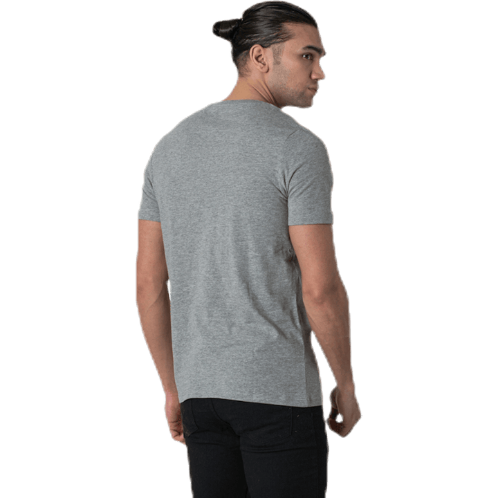 Denim Logo Tee Ss O-Neck Grå