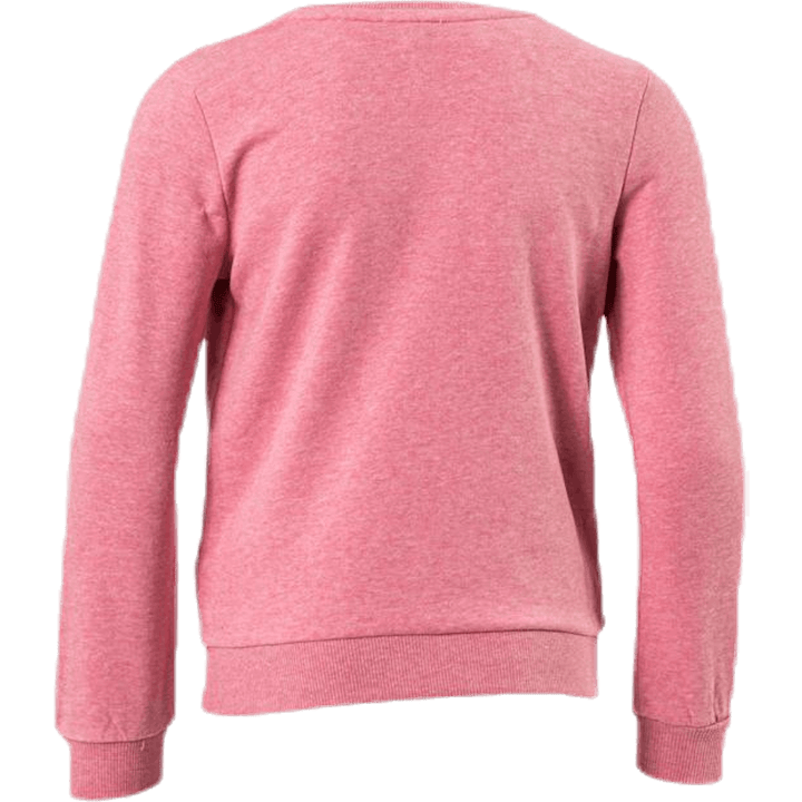 Peyton L/S O-Neck Swt Pink