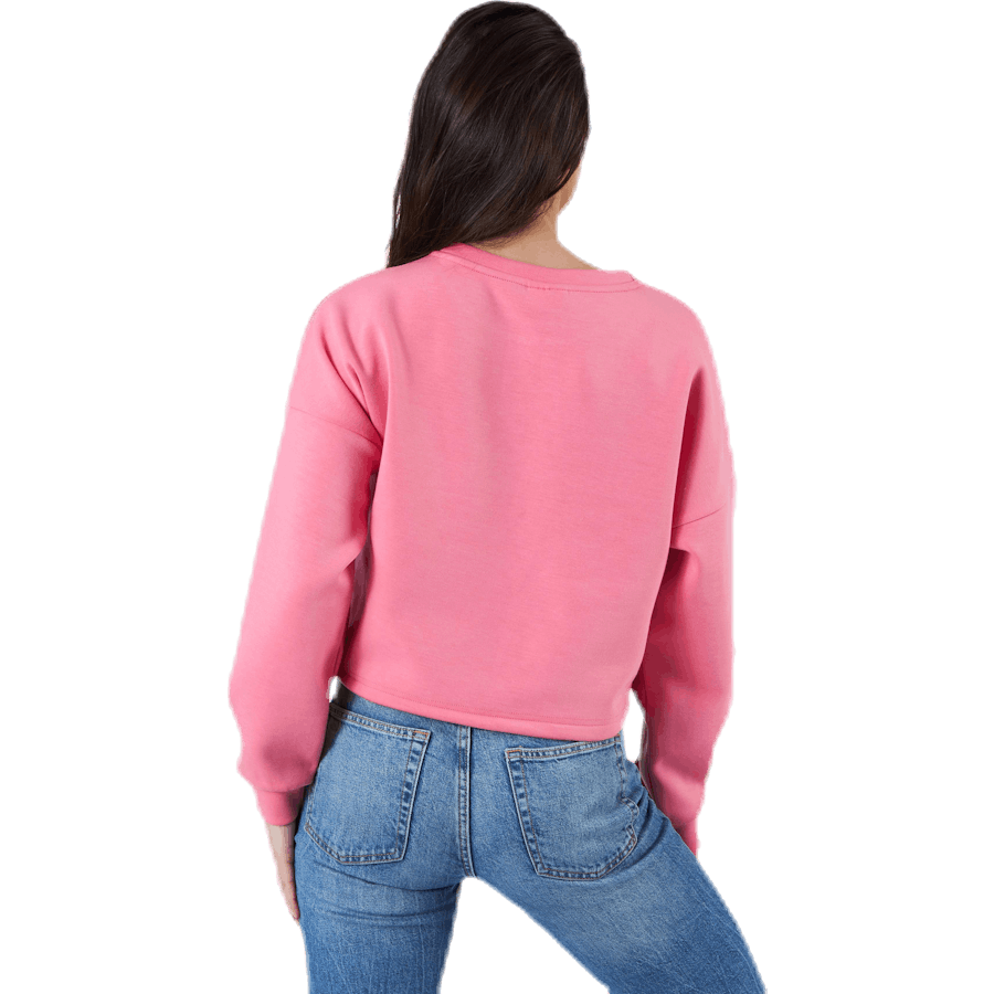 Pastel L/S O-Neck Swt Pink