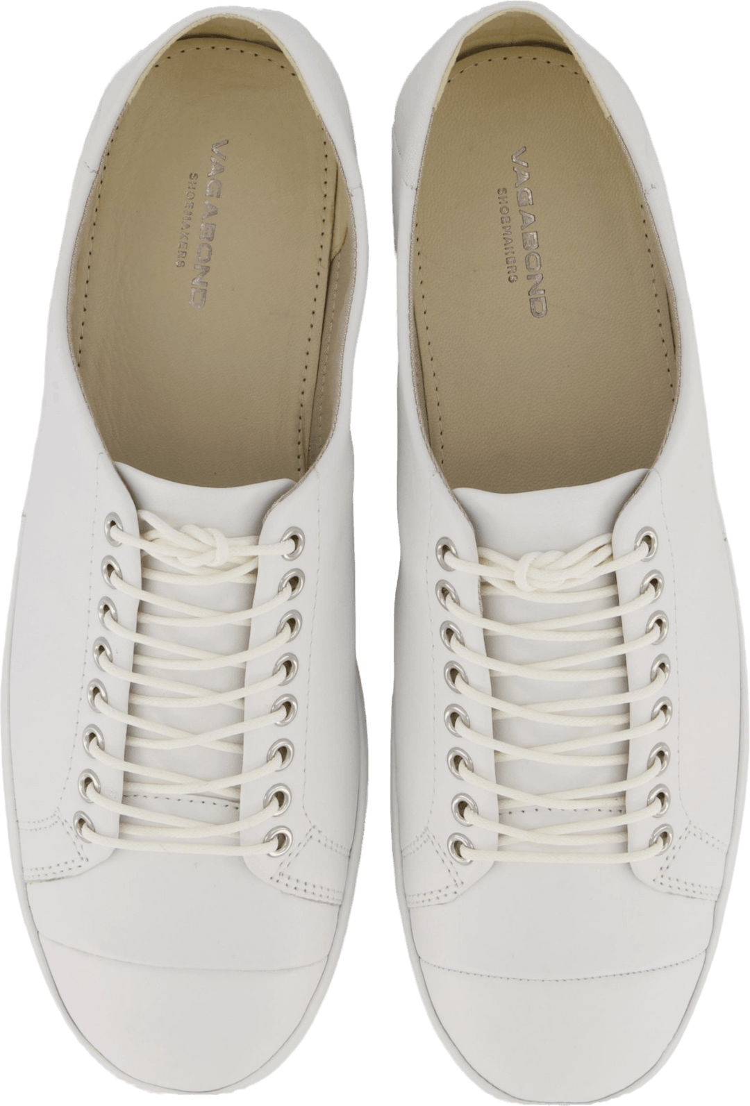 Rose 4314-001-01 01 Blanc
