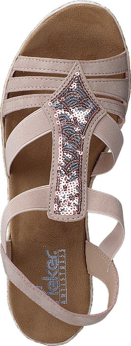 61913-31 Rosa