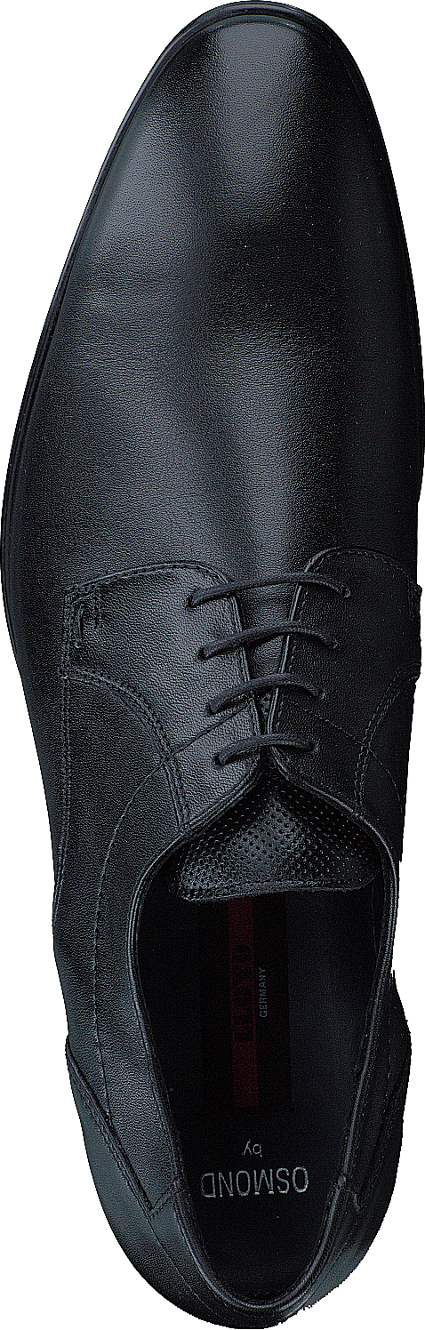 Osmond Black