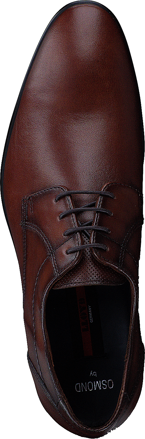 Osmond Cognac