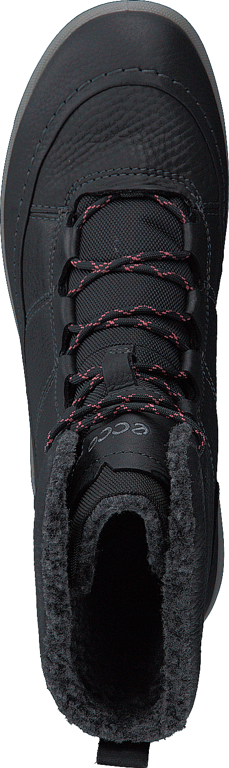 832153 Trace Lite Must