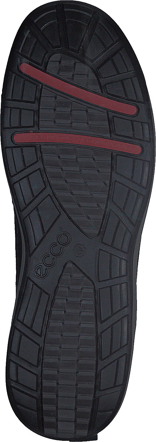 832153 Trace Lite Must