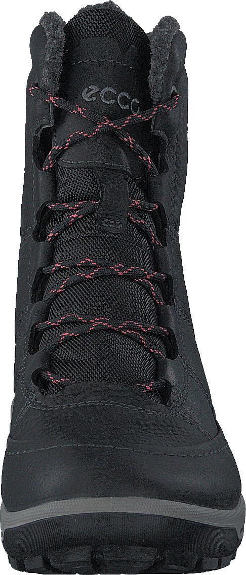 832153 Trace Lite Must