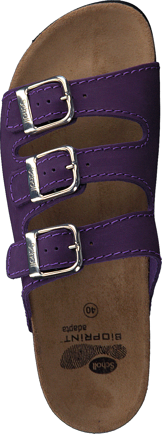 Rio Purple