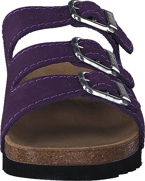 Rio Purple