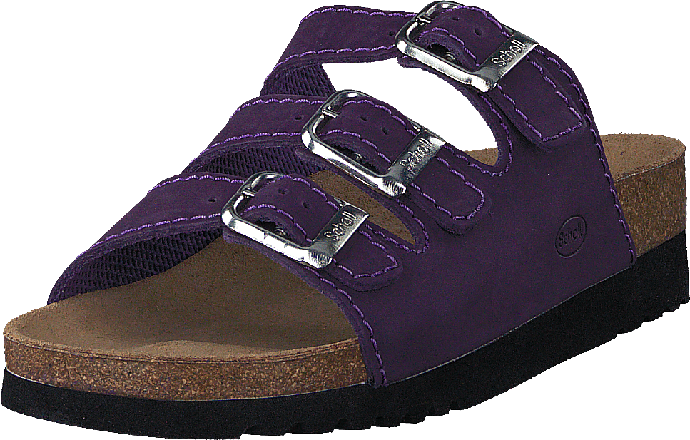 Rio Purple
