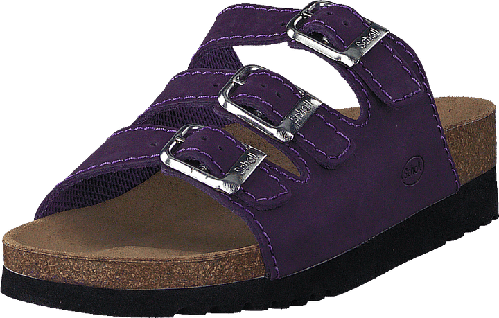 Rio Purple