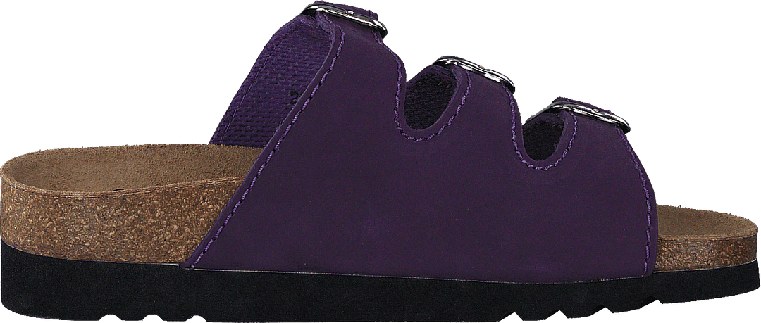 Rio Purple