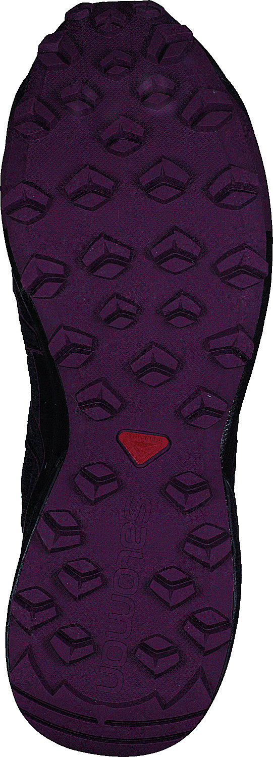 Speedcross Vario 2 GTX W Astral Aura/Navy Blazer/Grape