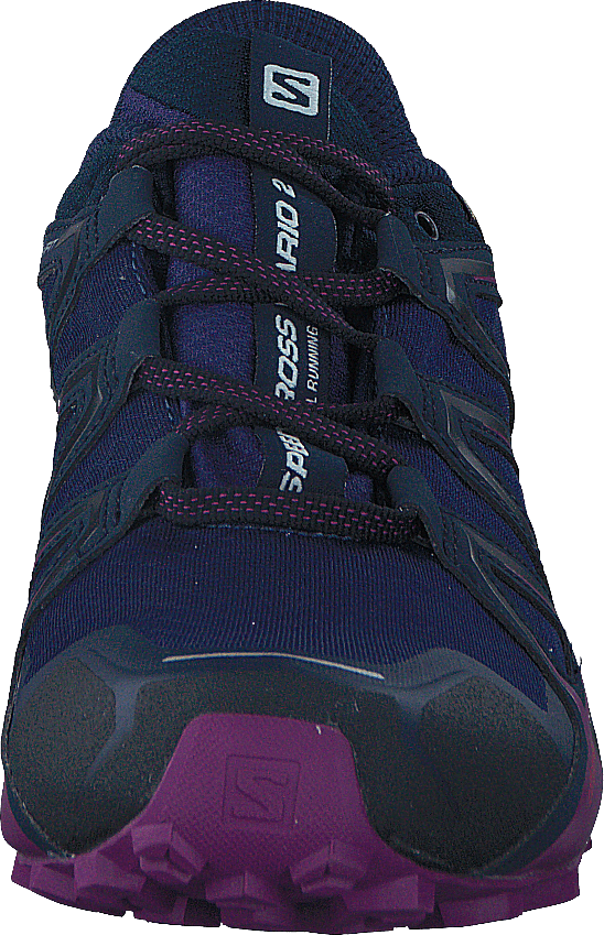 Speedcross Vario 2 GTX W Astral Aura/Navy Blazer/Grape