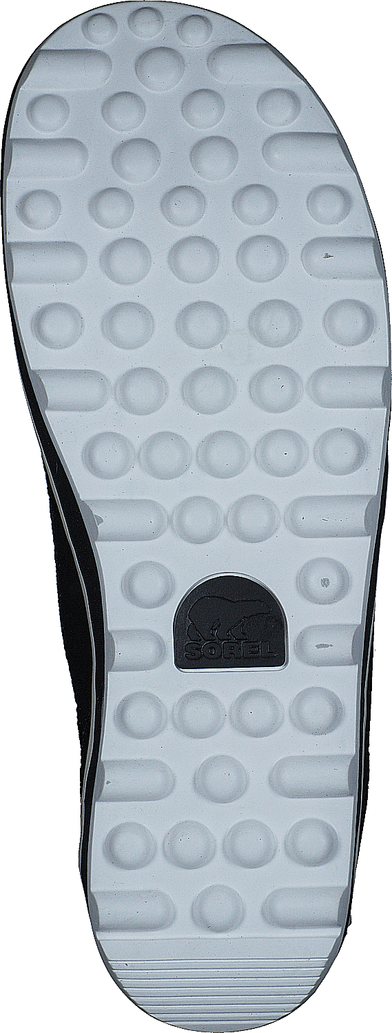 Glacy Explorer Shortie 010 Black