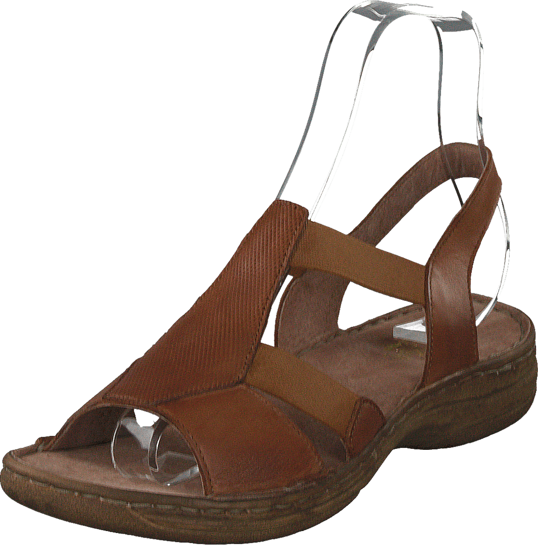 483-2512 Cognac