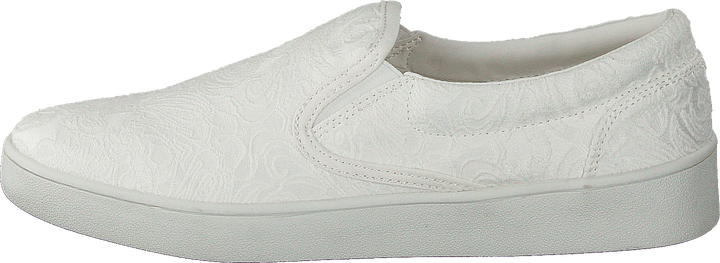 73-41393 Wit
