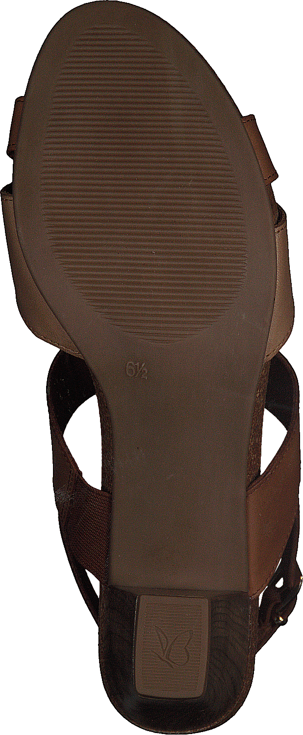 Chenoa Camel/liiv