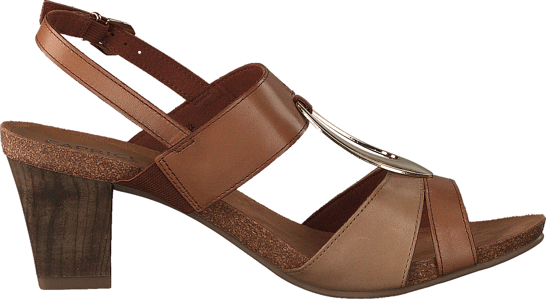 Chenoa Camel/liiv