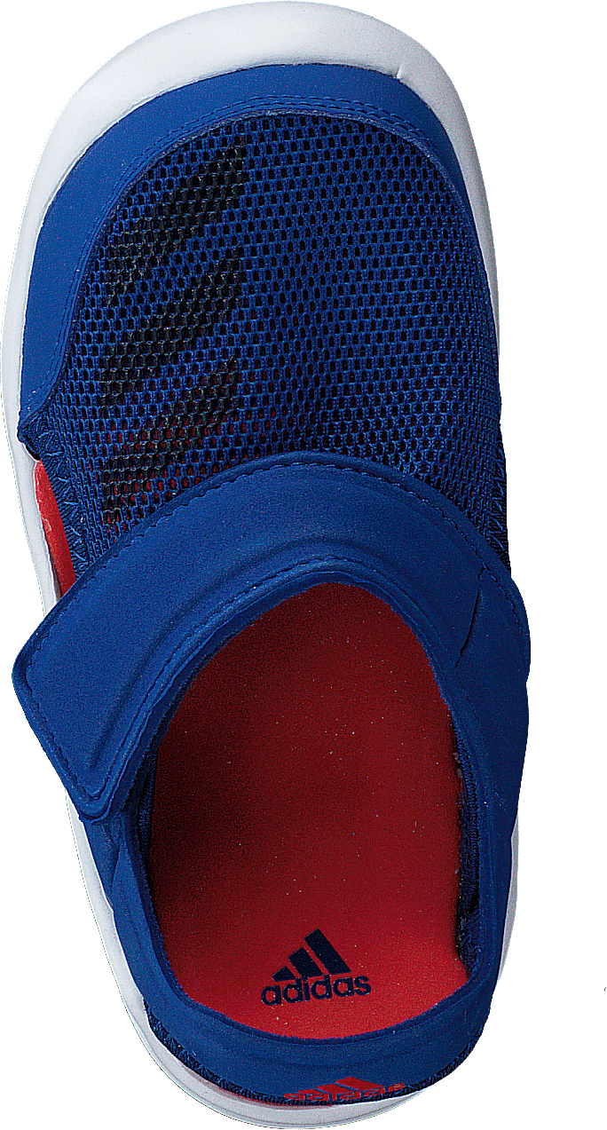 Fortaswim I Collegiate Royal/Navy/White