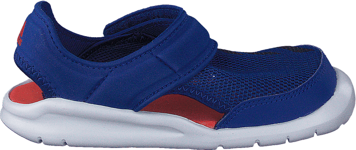 Fortaswim I Collegiate Royal/Navy/White