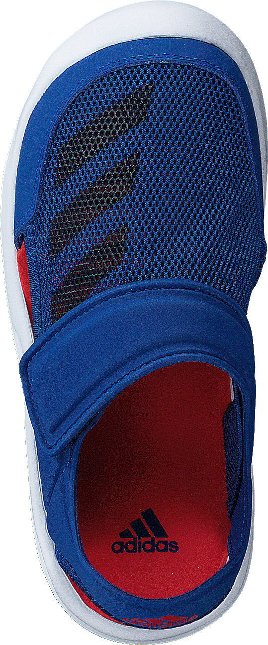 Fortaswim C Collegiate Royal/Navy/White