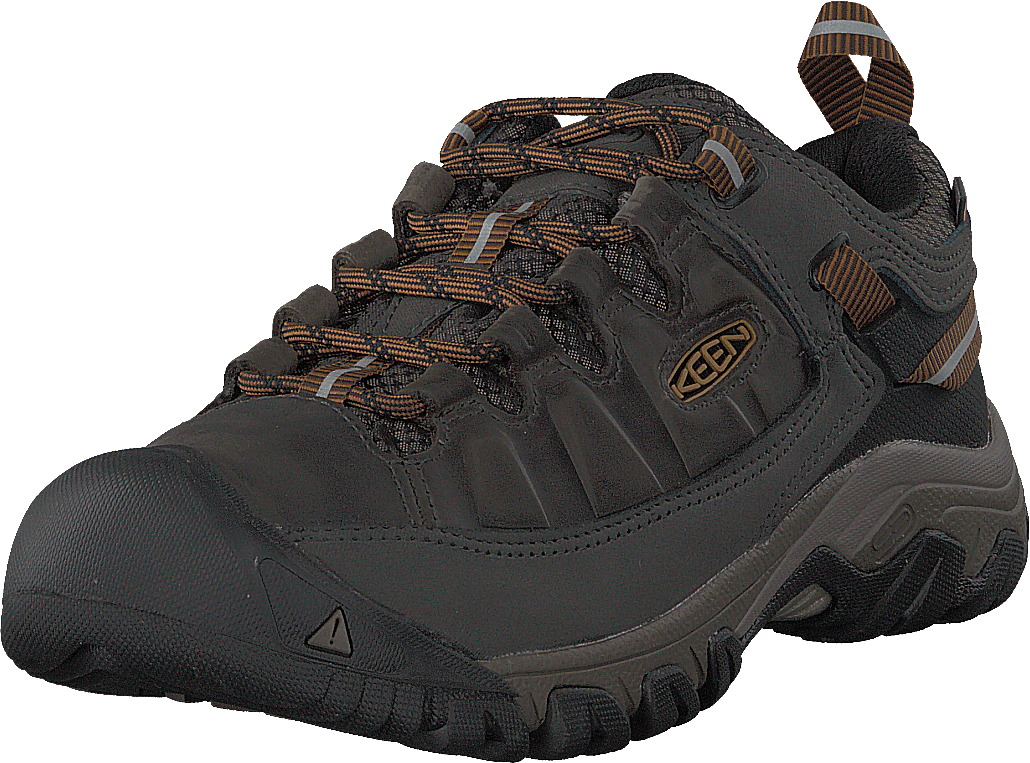 Targhee III Wp Black Olive/golden Brown