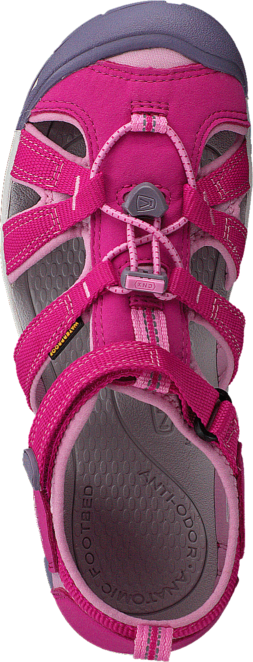 Seacamp II Cnx Jr Very Berry/lilac Chiffon