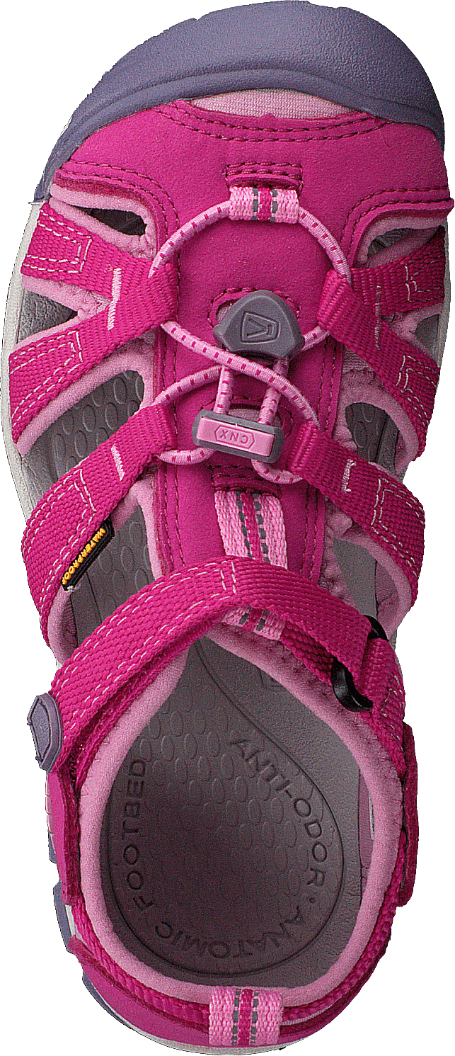 Seacamp II Cnx Kids Very Berry/lilac Chiffon