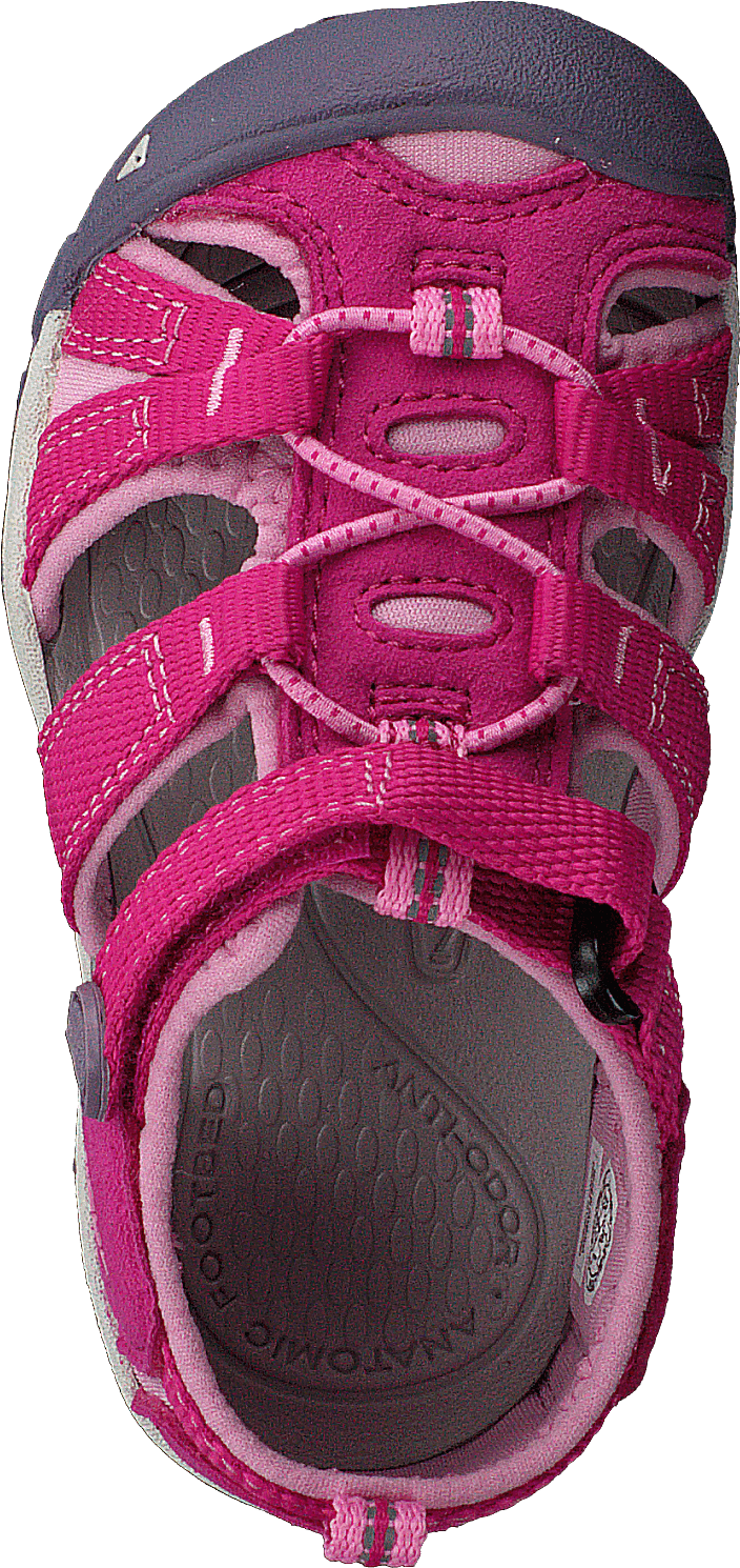 Seacamp Ii Cnx Tots Very Berry/lilac Chiffon