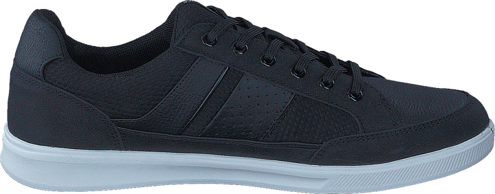 Rayne Anthracite