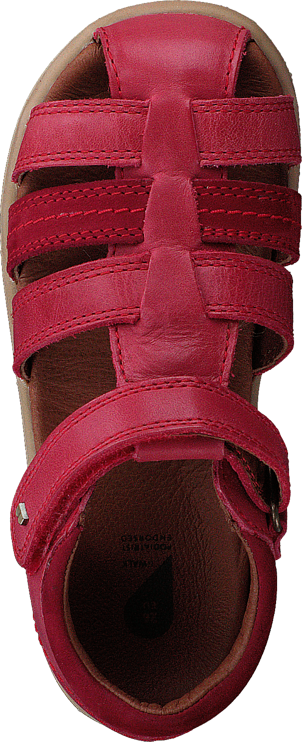 Roam Red