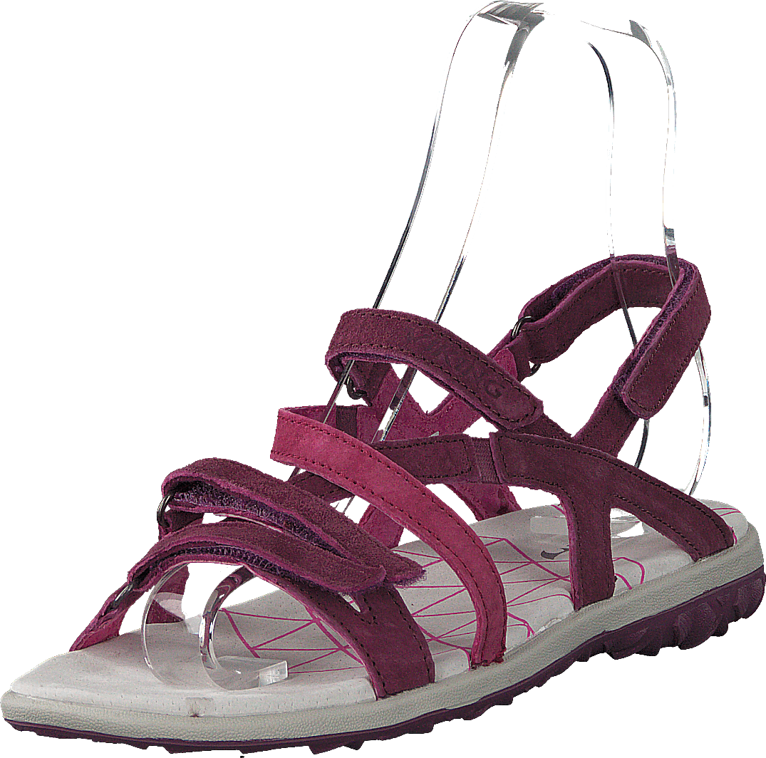 Svala Plum/Fuchsia