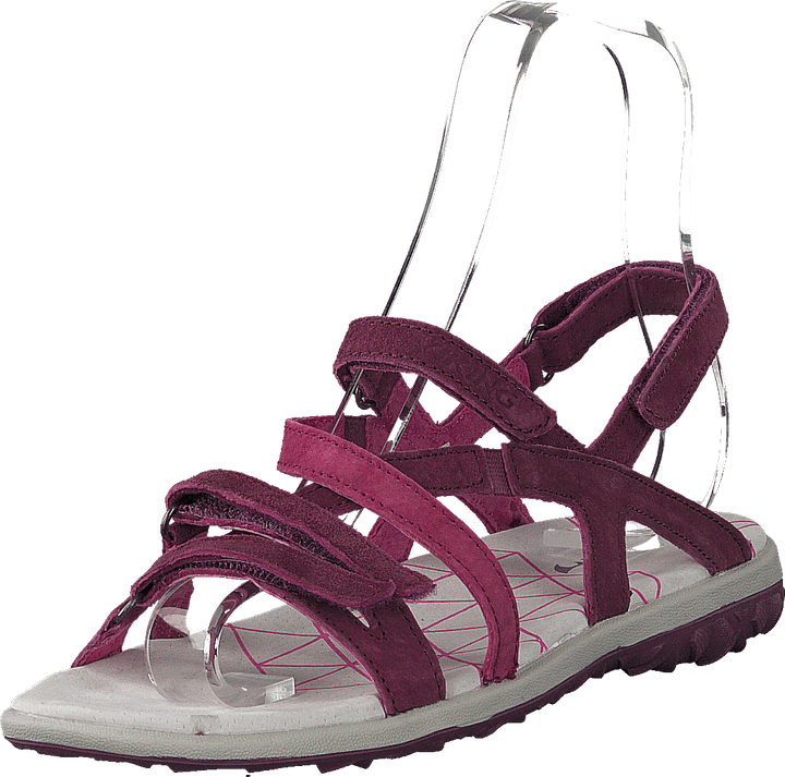 Svala Plum/Fuchsia