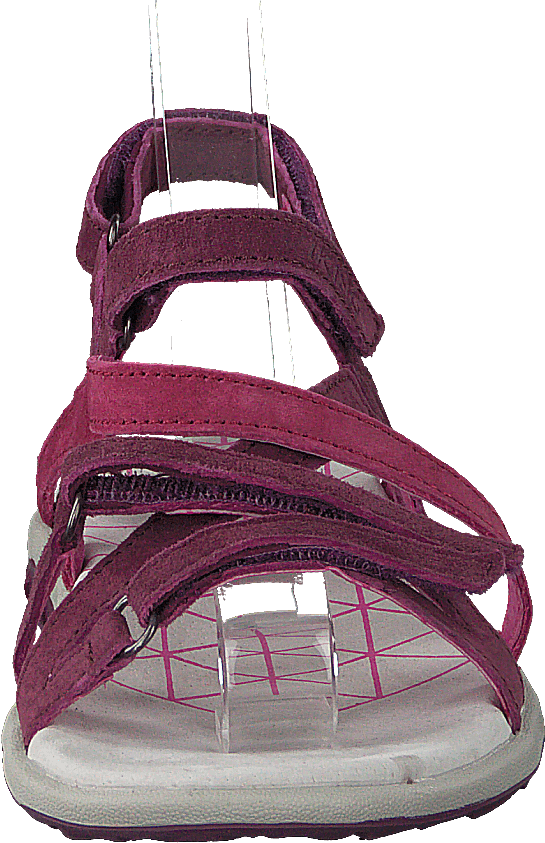 Svala Plum/Fuchsia