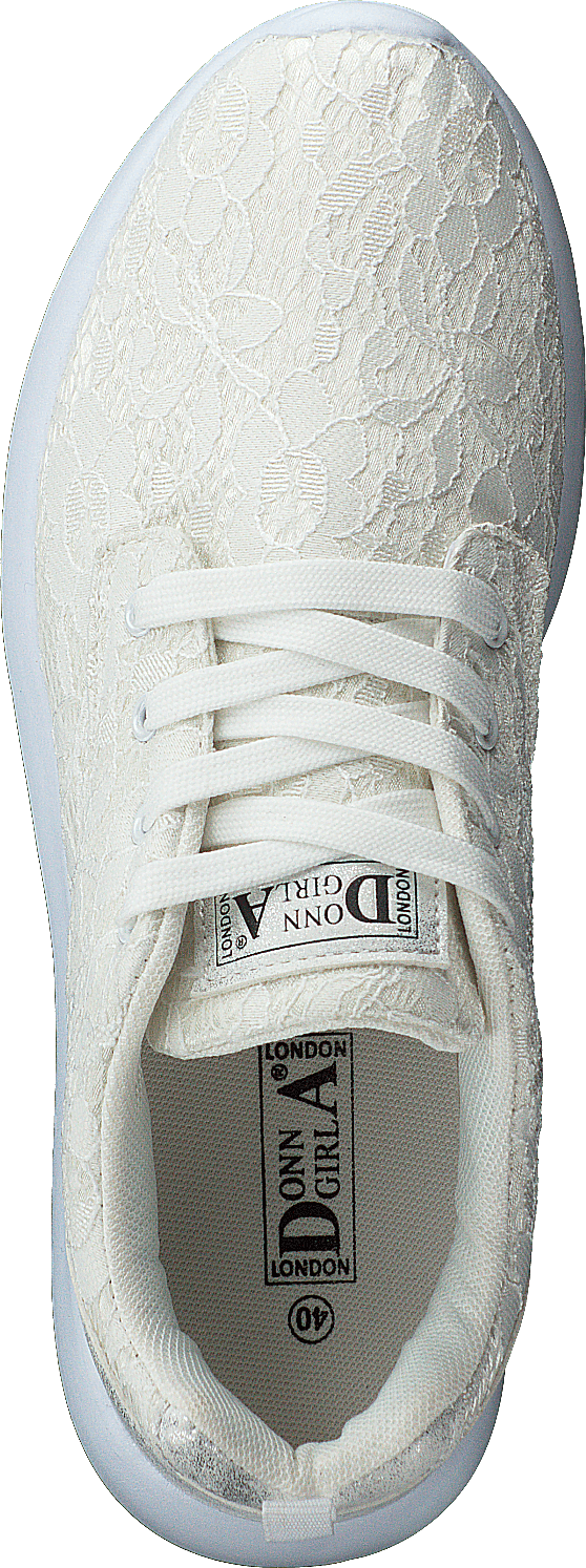 491511 White