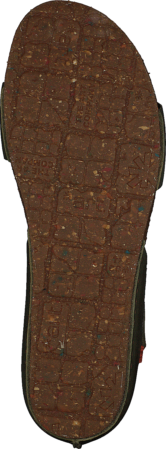 Creta Kaki
