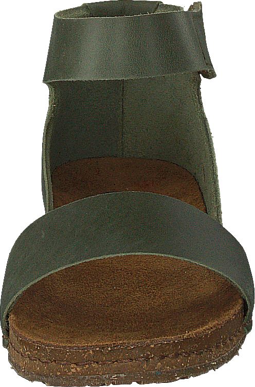 Creta Kaki