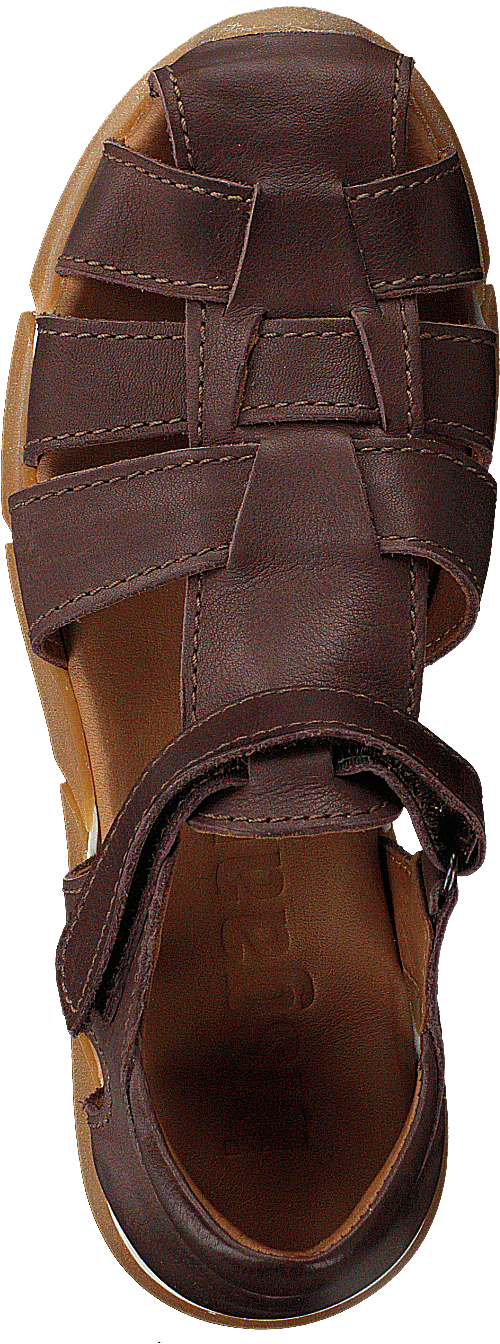 70267.118.303 Brown
