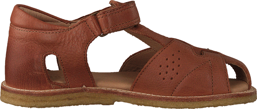 70519.118.504 Cognac
