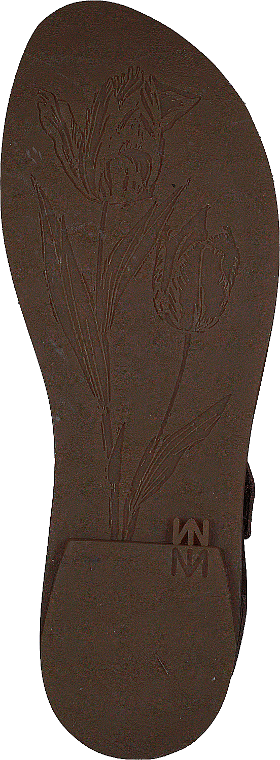 Tulip Cuero