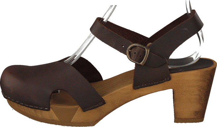 Matrix Ant.brown