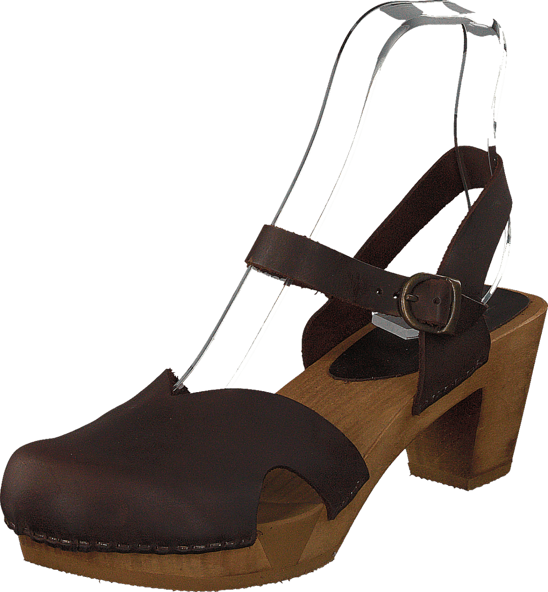 Matrix Ant.brown